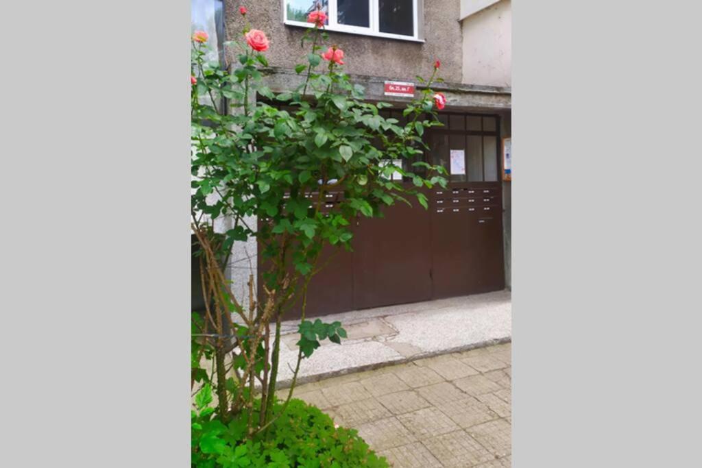 Lovely Center 1bd, 1bt * Sofía